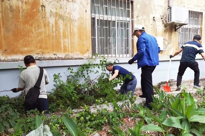 集团机关党委、老干党委开展党员自愿服务活动