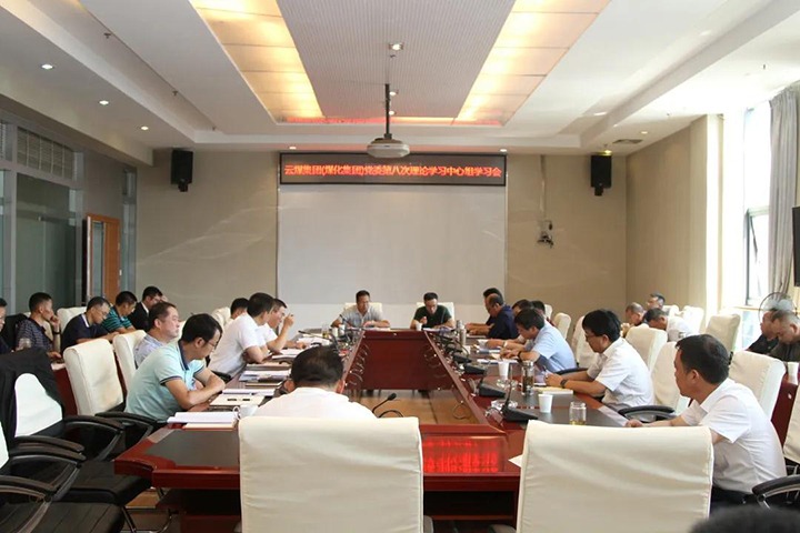 云煤（凯时娱乐人生就是博）集团党委开展2021年第八次党委理论学习中心组集中学习