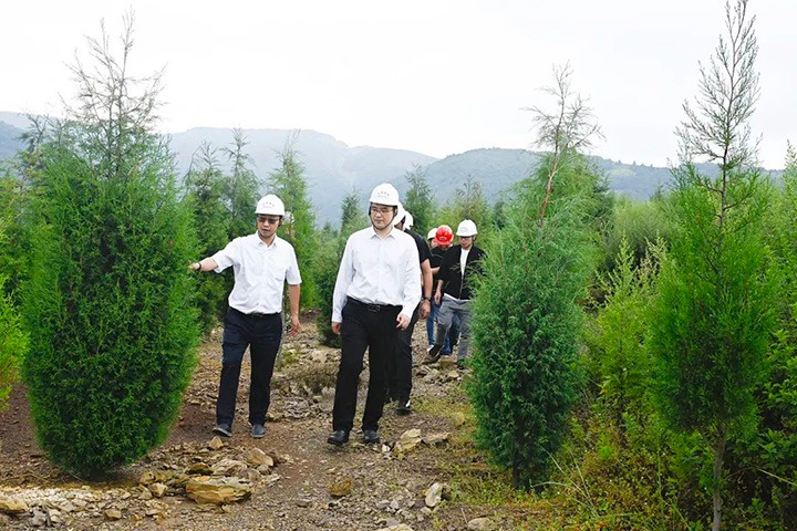 自然资源部矿产资源保；；ぜ嗍铀臼褂眉嗍哟Ω贝Τに镉莱恍械较确婷阂档餮新躺笊浇ㄉ枋虑