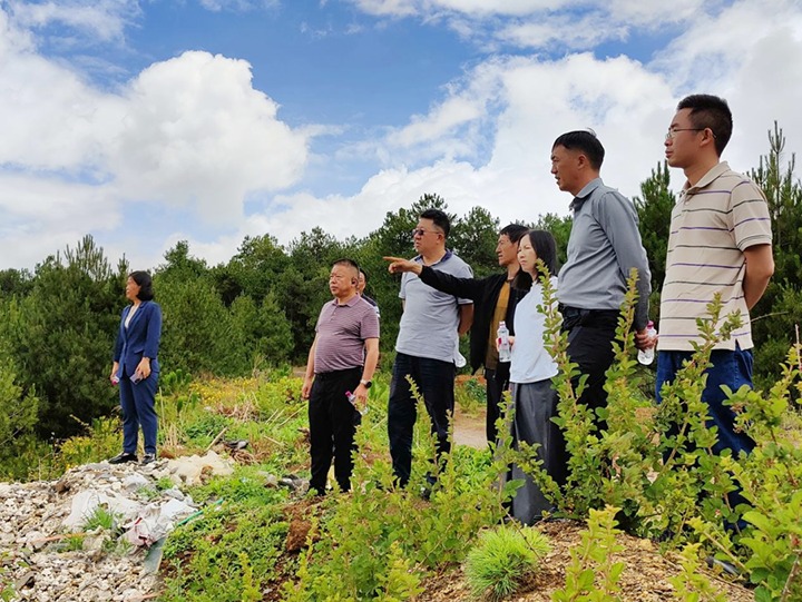 【主题教育】云煤（凯时娱乐人生就是博）集团专职外部董事寸延峰，，，集团党委委员、财务总监莫晓丹到马厂煤矿、汉家厂煤矿、竹麻地煤矿开展主题教育调研