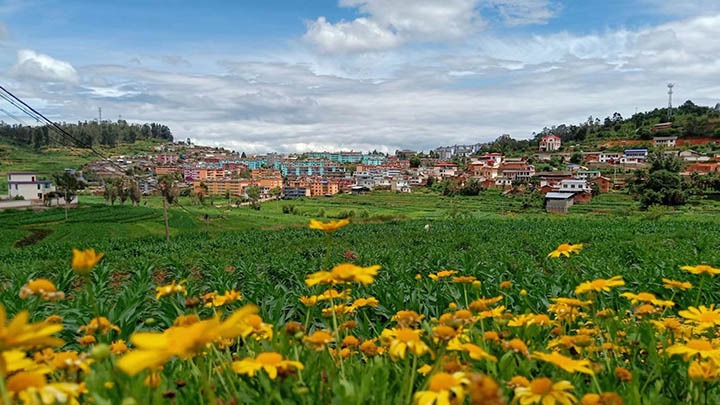 【云煤岁月】笃行不辍营生长，，，，砥砺奋进谱新篇——平煤故事（一）