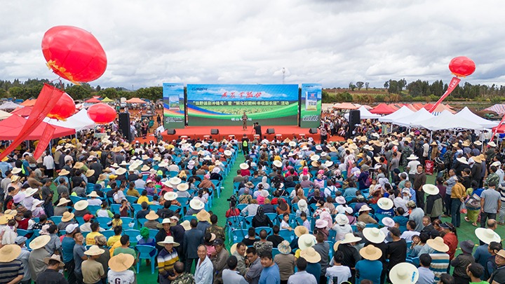云南解化｜“快递小哥”的三农情怀，，温暖民心促生长