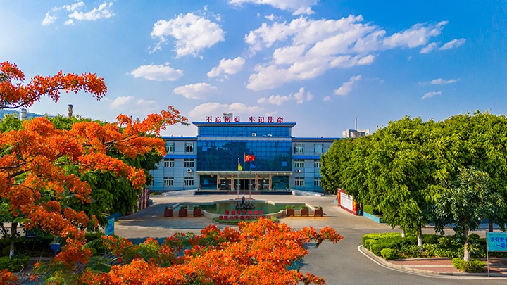 红色基由于引领，，，，，磨练战场写华章  —— 汗水与智慧交织的磨练历程